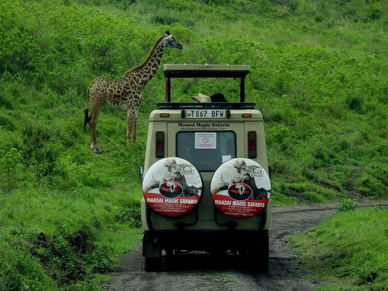 Safari vehicle watching elephants at sunset in the Maasai Mara